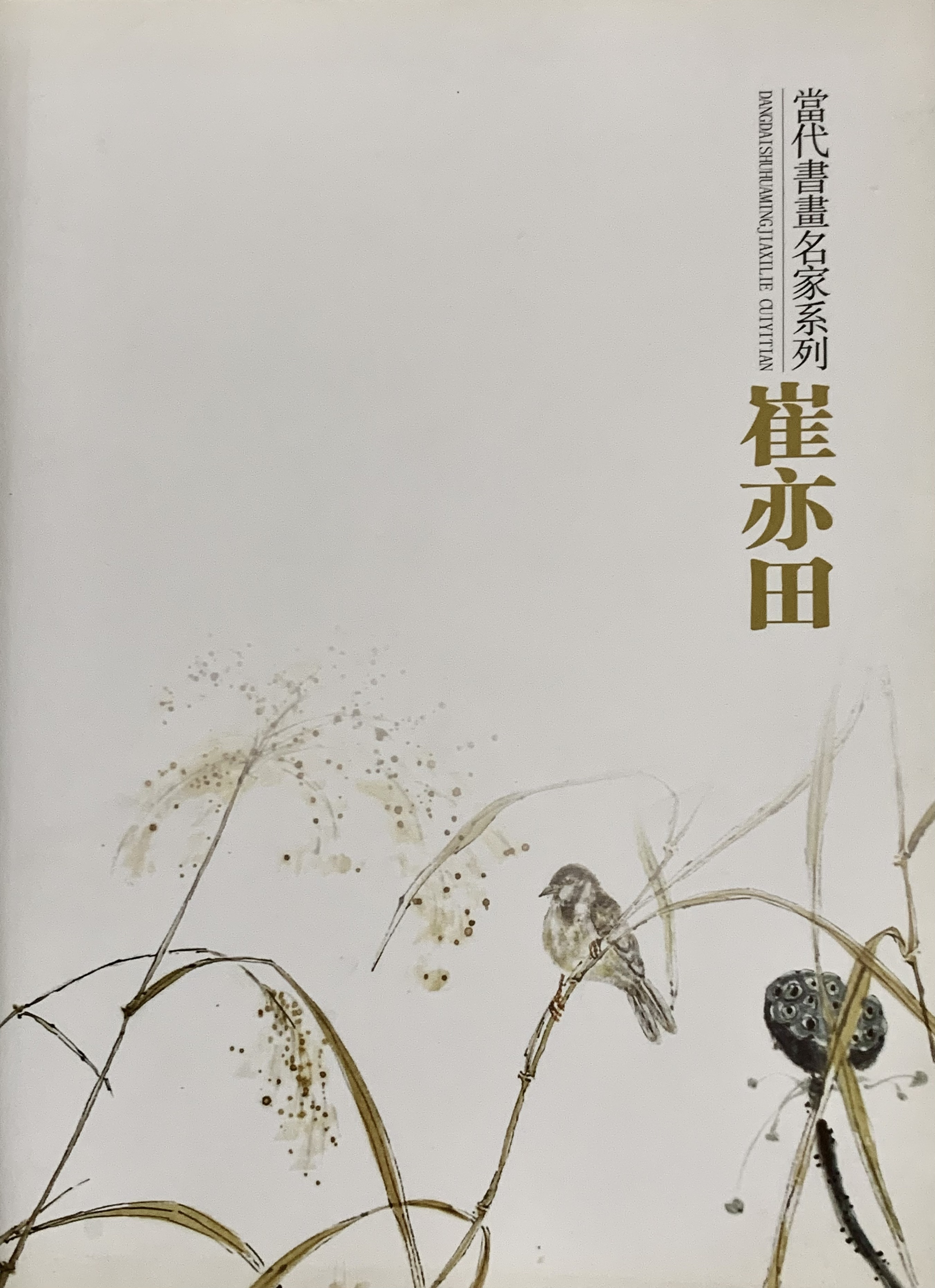 各类个人画册  折页系列